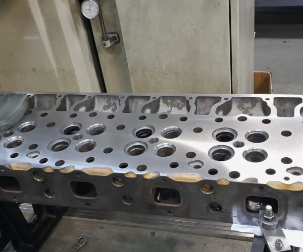 πλανη κορμου (4)